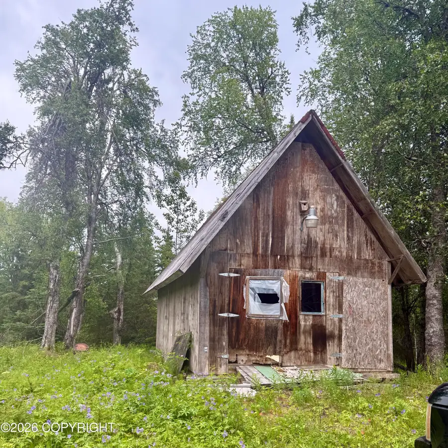 16924 Brody Road, Ninilchik, AK 99639 - #3