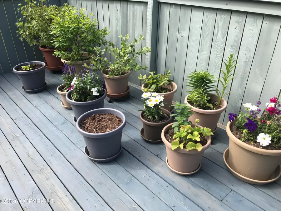 1913 Parkview Circle, Anchorage, AK 99501 - #2