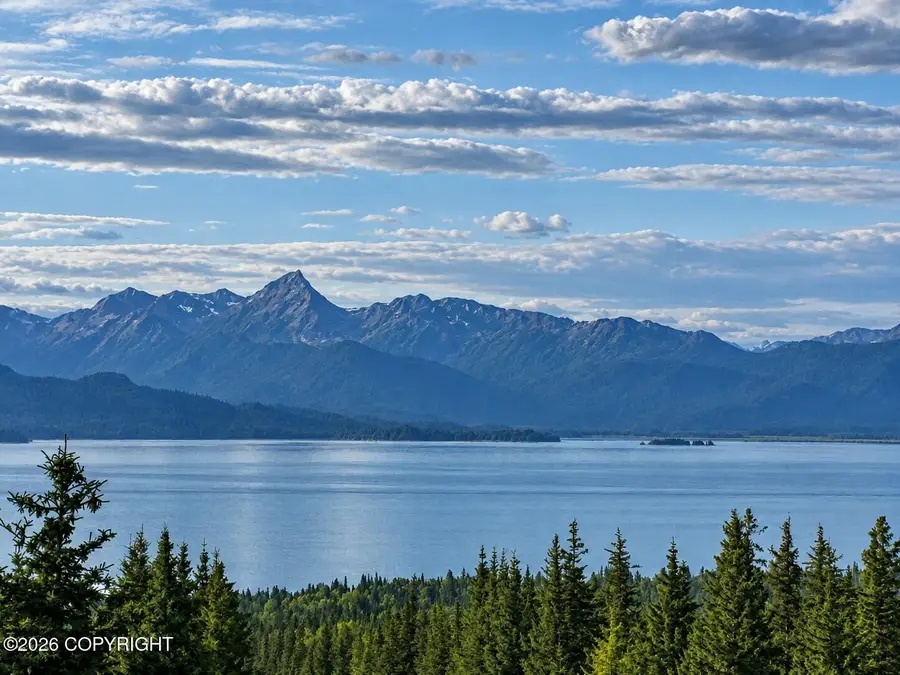 54104 Lulu Court, Homer, AK 99603 - #2