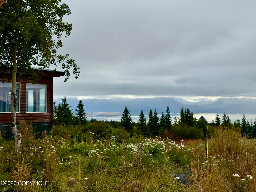 55200 Elata Avenue, Homer, AK 99603 - #2