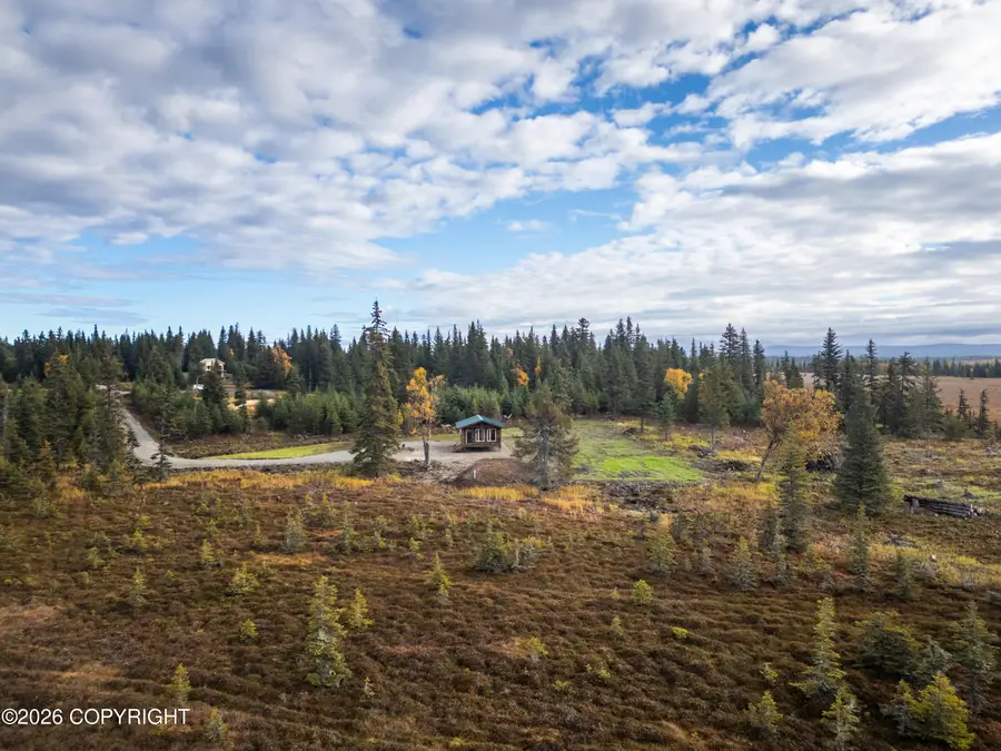31935 Whiskey Gulch Street, Anchor Point, AK 99556 - #2
