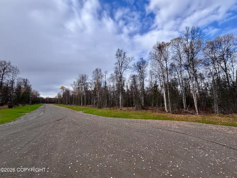 14567 E Sculpin Street, Talkeetna, AK 99676 - #3