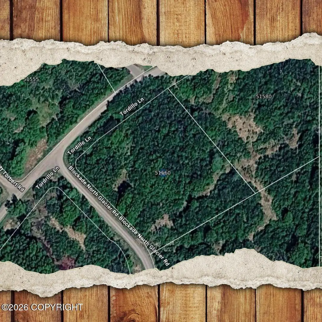 51560 Tordrillo Lane, Nikiski, AK 99635 - #1