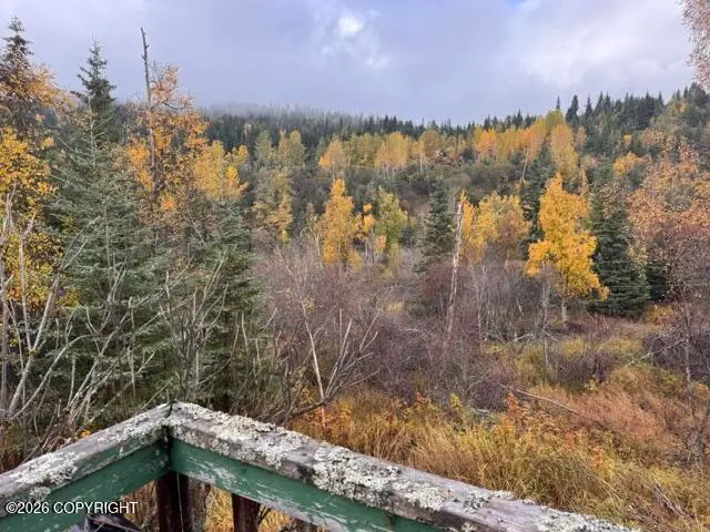 38740 Mushroom Street, Homer, AK 99603 - #3