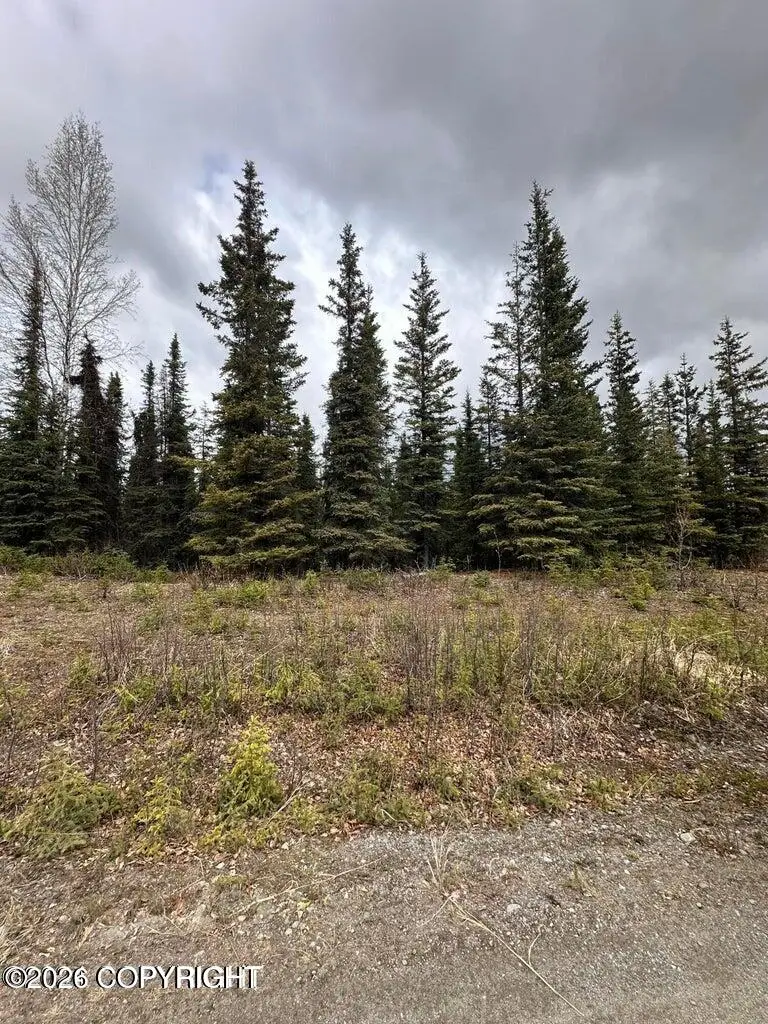 36915 Dutch Landing Loop, Sterling, AK 99672 - #1
