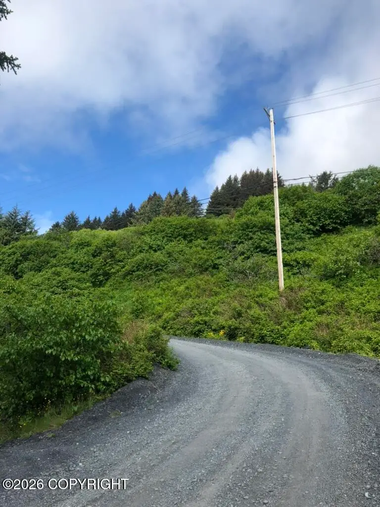 215 W Hillcrest Street, Kodiak, AK 99615 - #1