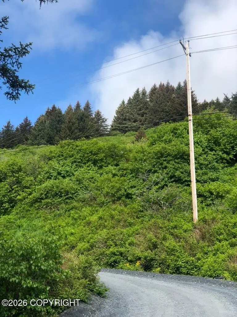 215 W Hillcrest Street, Kodiak, AK 99615 - #3