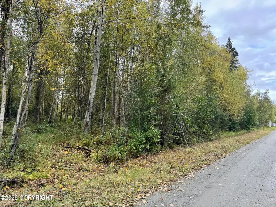 8593 S River Drive, Palmer, AK 99645 - #2