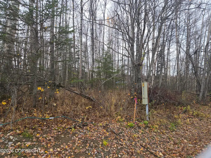 9280 S Overlook Drive, Wasilla, AK 99623 - #2