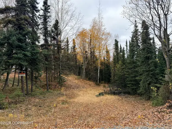 32440 Lakefront Drive, Soldotna, AK 99669
