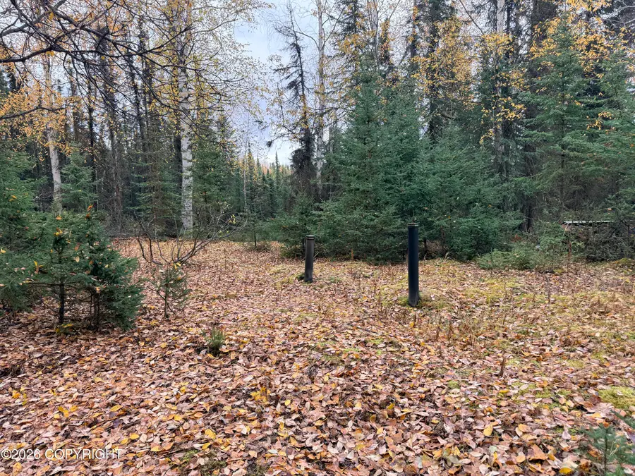 32440 Lakefront Drive, Soldotna, AK 99669 - #2