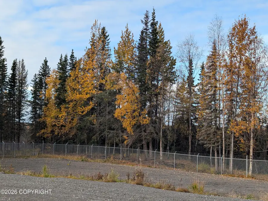 26699 Vincent Street, Kasilof, AK 99610 - #2
