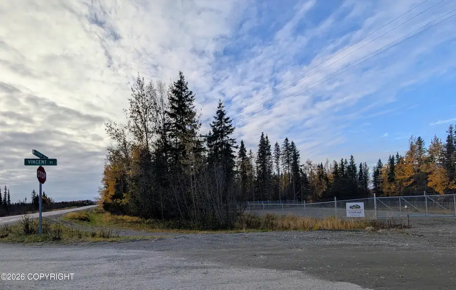 26699 Vincent Street, Kasilof, AK 99610 - #3