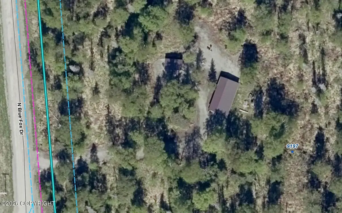 9196 N Blue Fox Drive, Palmer, AK 99645 - #1