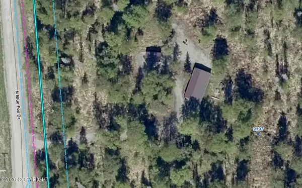 9196 N Blue Fox Drive, Palmer, AK 99645