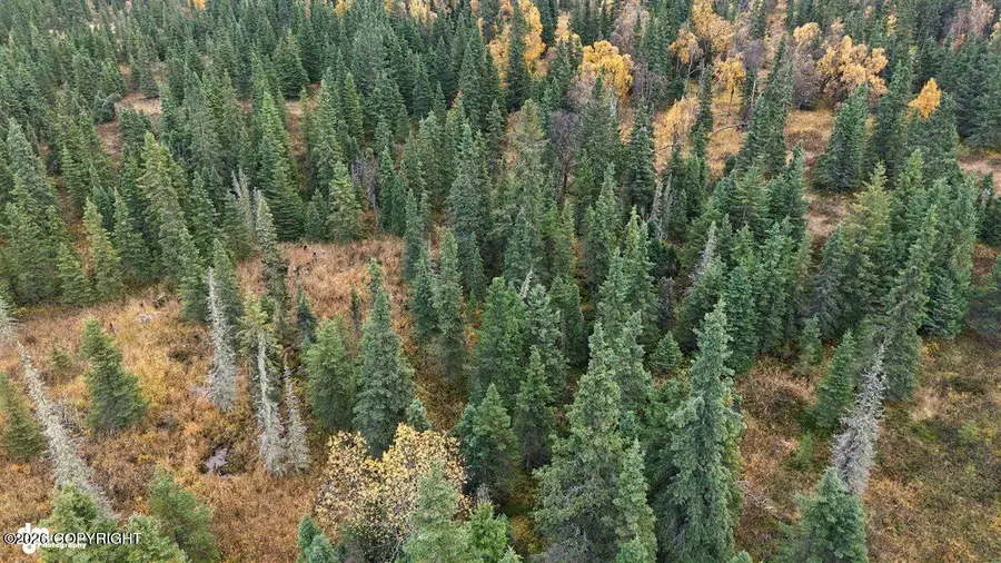 000 T2nr12wsec29sewardmeridian, Clam Gulch, AK 99568 - #3