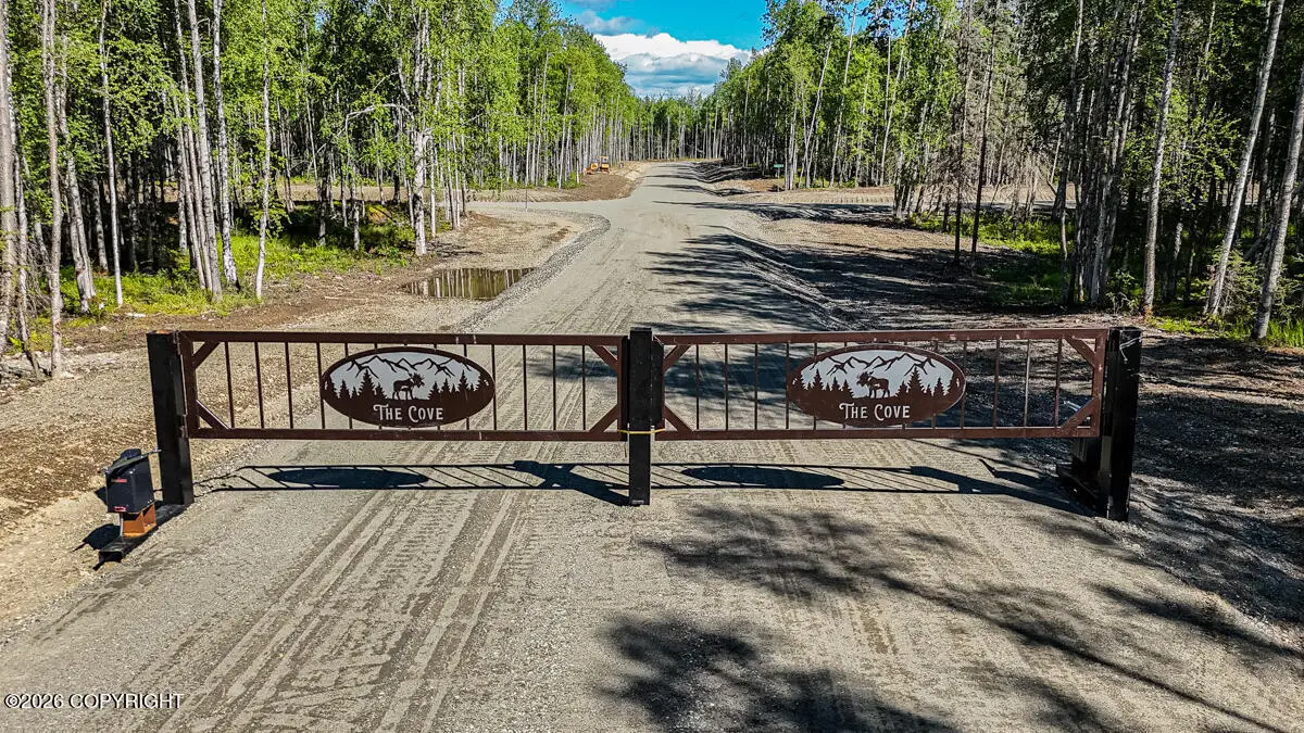 L31 B1 N Moonstone Court, Willow, AK 99688 - #1