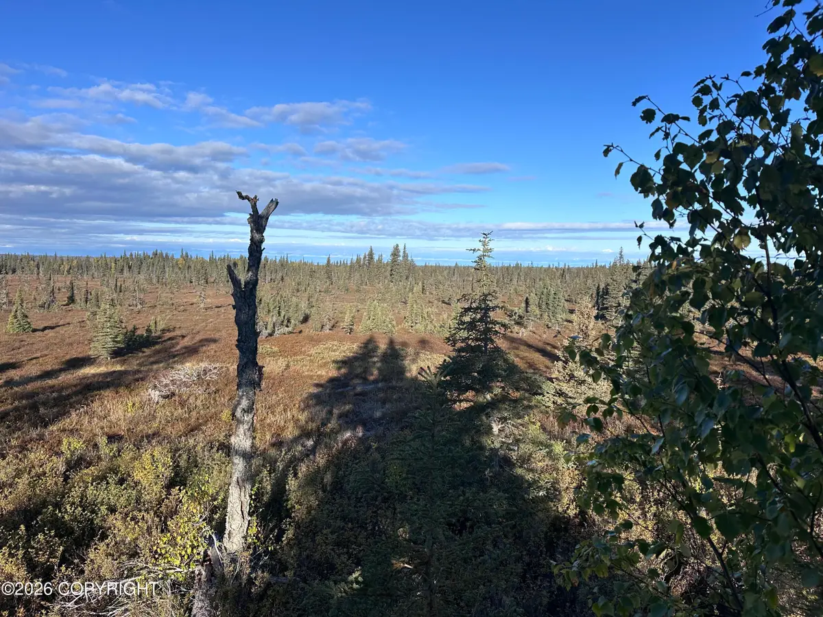 68045 Stoddard Avenue, Anchor Point, AK 99556 - #1