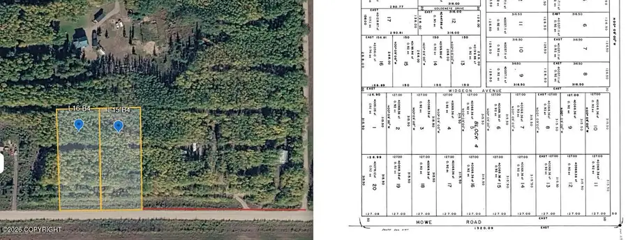 L16 B4 Forest Park Hills, Delta Junction, AK 99737 - #2