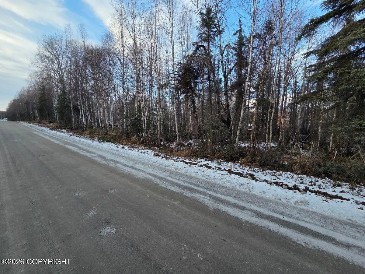 15867 E Kashwitna Road, Talkeetna, AK 99676 - #1
