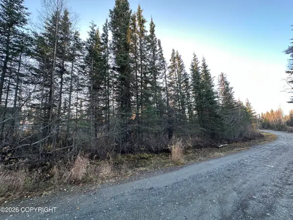 L5 Shadura Road, Kasilof, AK 99610