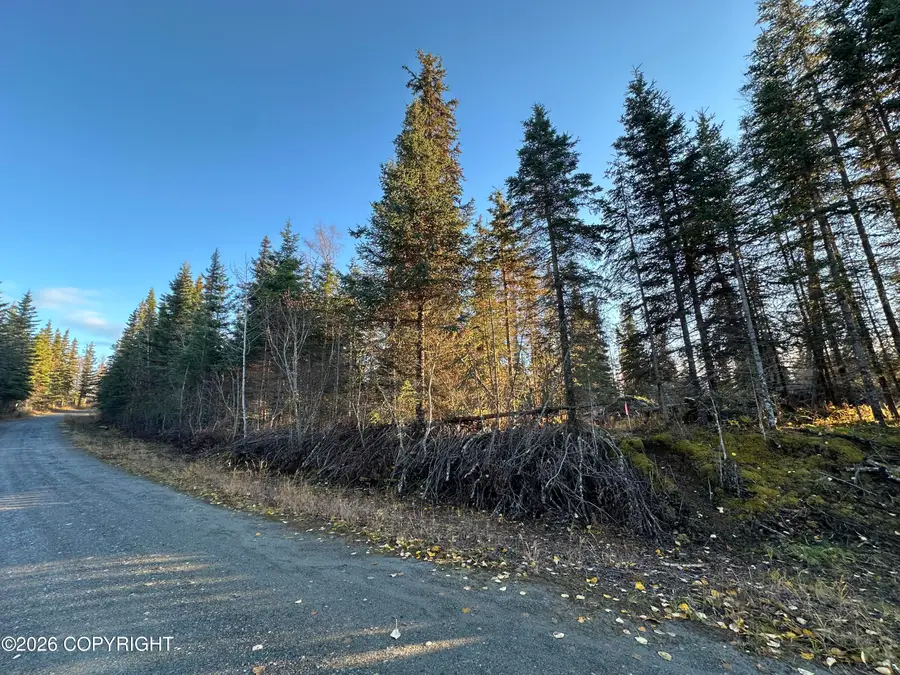 L5 Shadura Road, Kasilof, AK 99610 - #2
