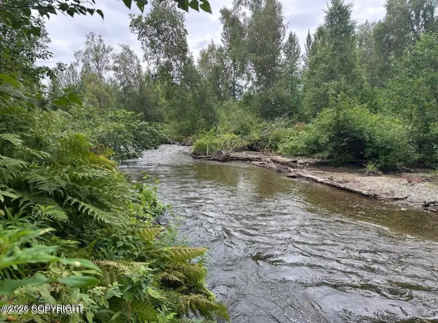 24013 W Johnson Drive, Willow, AK 99688 - #3