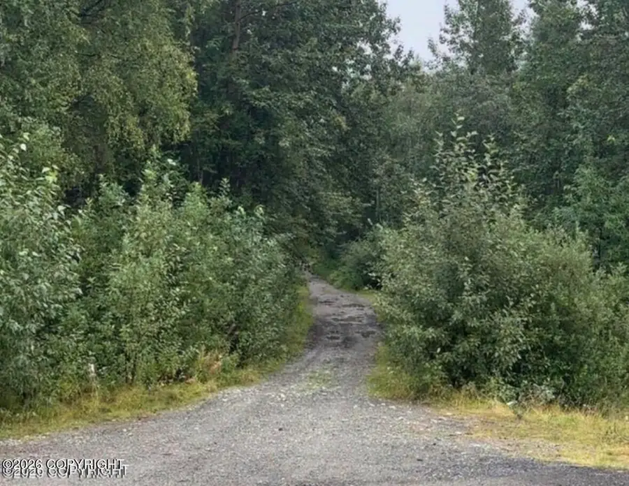 24041 W Johnson Drive, Willow, AK 99688 - #2