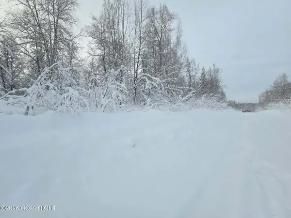 L410 E Rodnreel Avenue, Willow, AK 99688