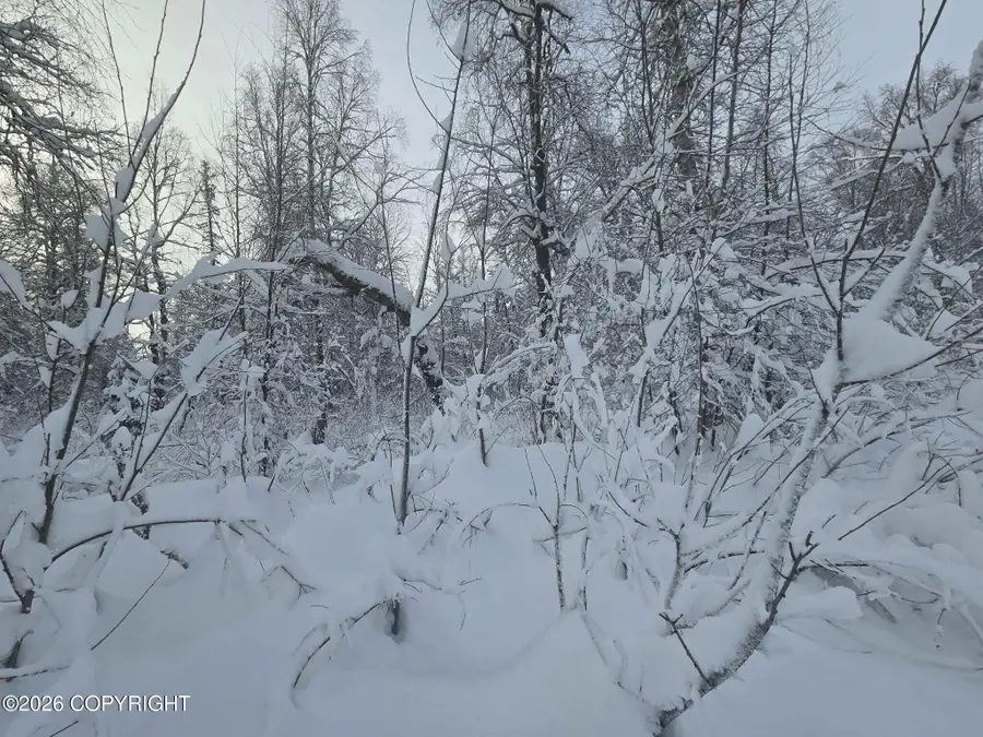 L410 E Rodnreel Avenue, Willow, AK 99688 - #3