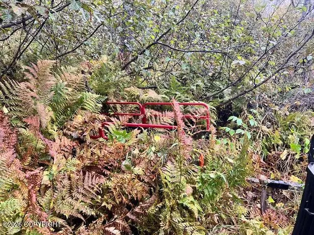 92-135 Asls Trail, Talkeetna, AK 99676 - #2