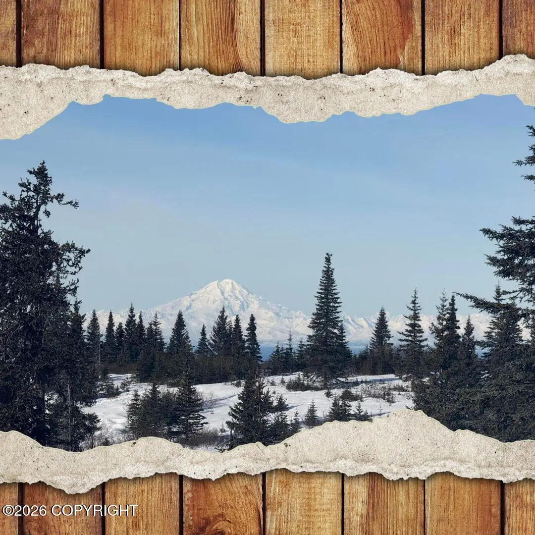 53777 Towe Avenue, Ninilchik, AK 99639 - #1