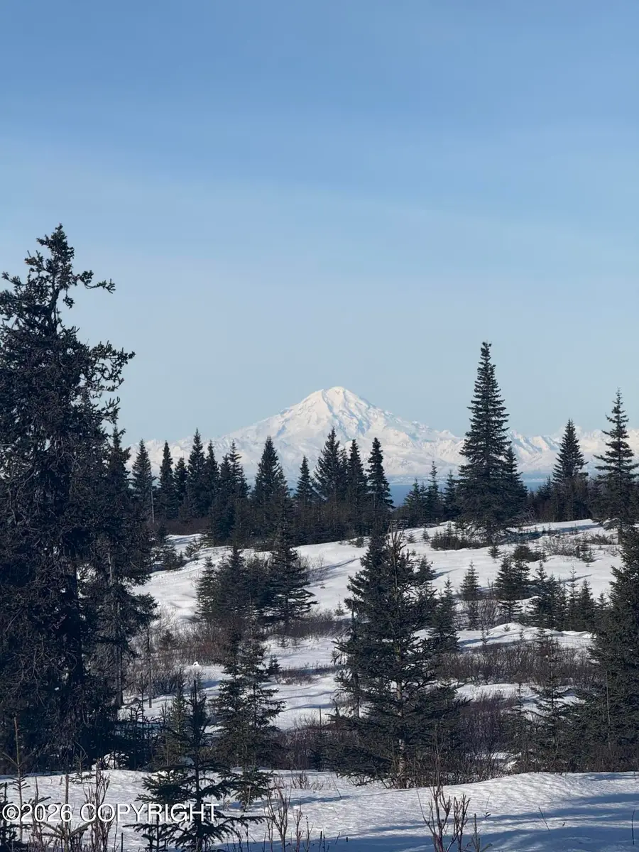 53777 Towe Avenue, Ninilchik, AK 99639 - #3