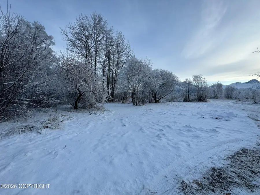 14671 E Outer Springer Loop, Palmer, AK 99645 - #2