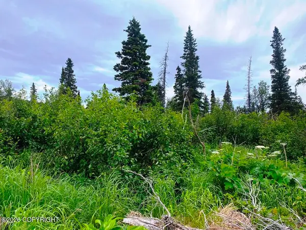 Lot 13A Alta Court, Anchorage, AK 99516
