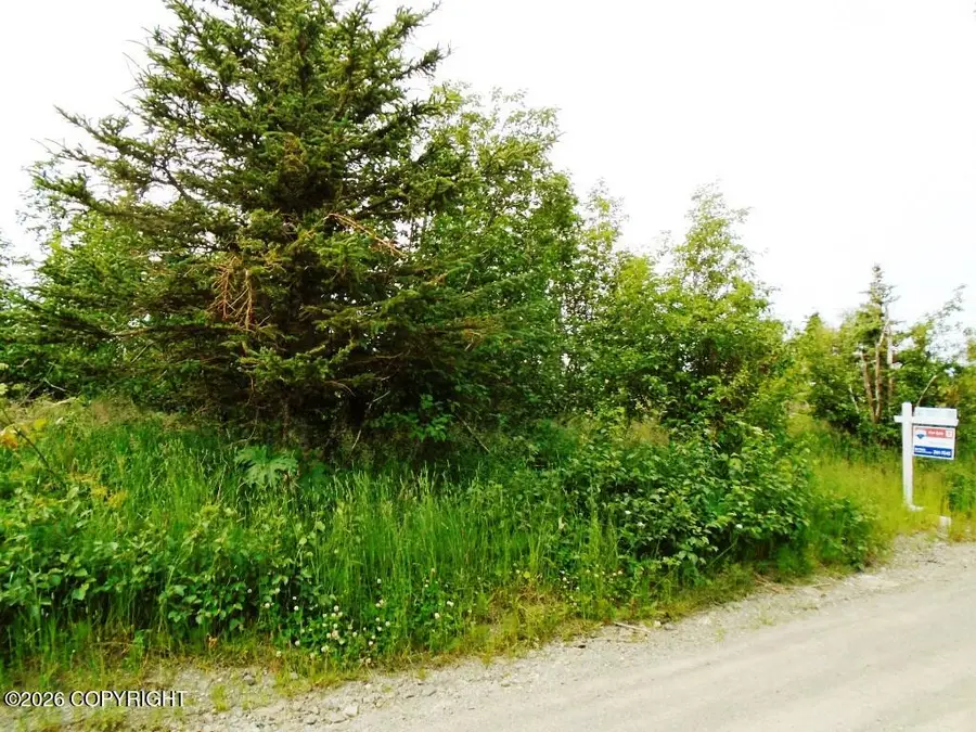 Lot 13A Alta Court, Anchorage, AK 99516 - #2