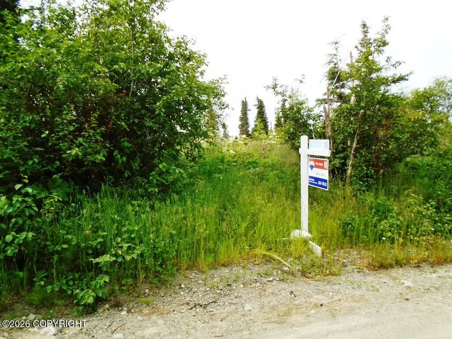 Lot 13A Alta Court, Anchorage, AK 99516 - #3