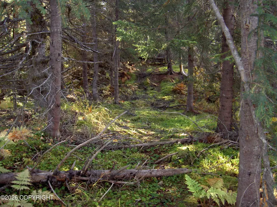 ASLS 91-13 Caribou Lake, Ninilchik, AK 99639 - #2