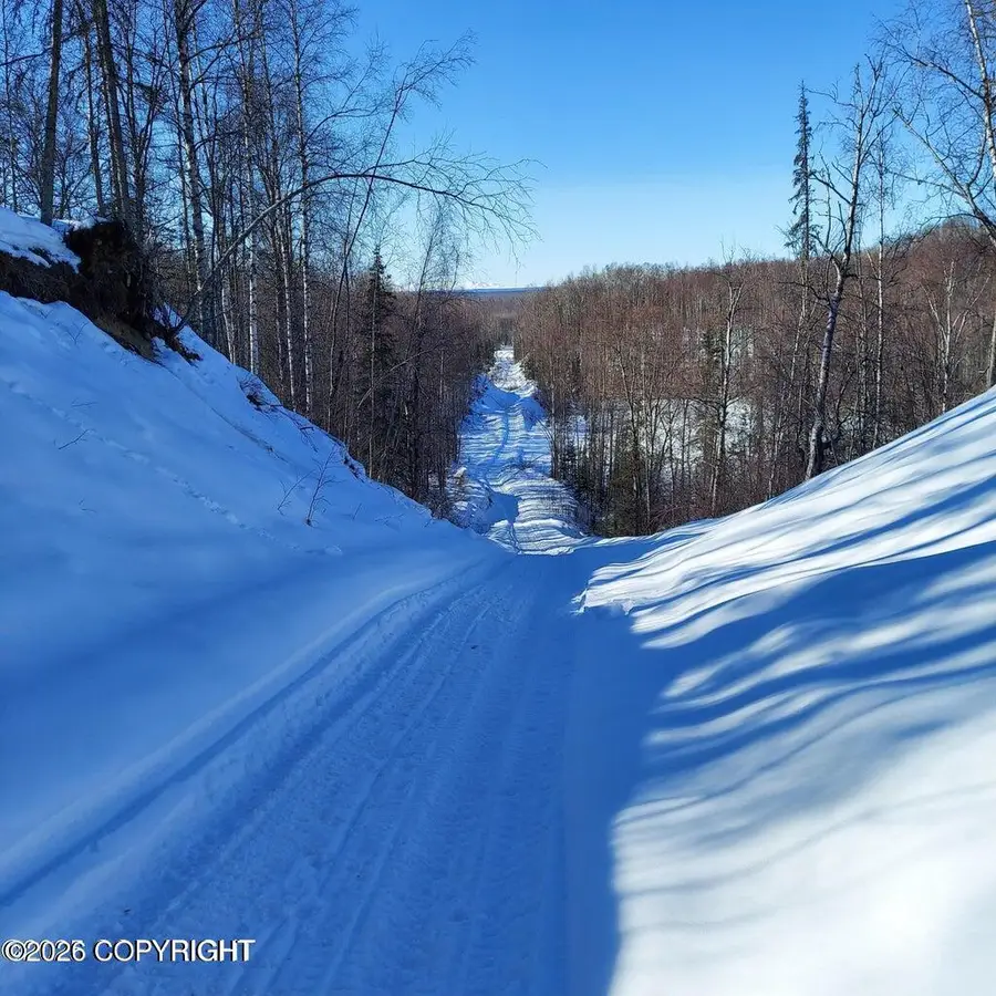 No Road E Walsted Drive, Talkeetna, AK 99676 - #3