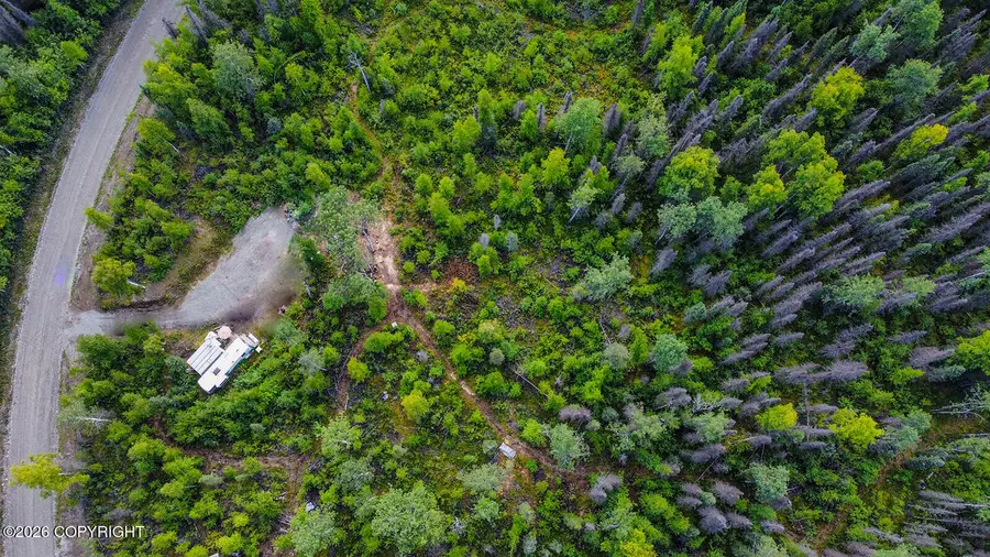 19954 E Deep Woods Way, Willow, AK 99688 - #2