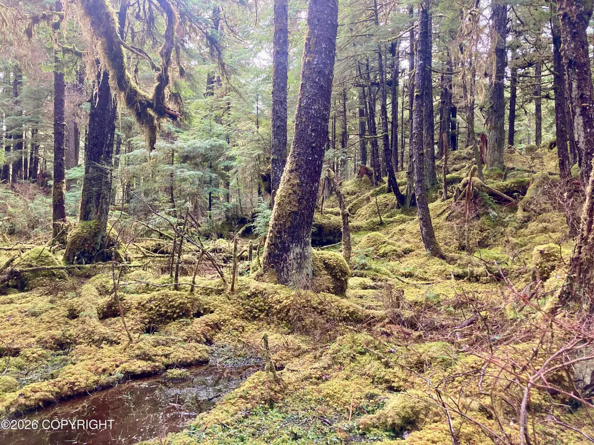 L9B18 South Thorne Bay, Thorne Bay, AK 99919 - #1