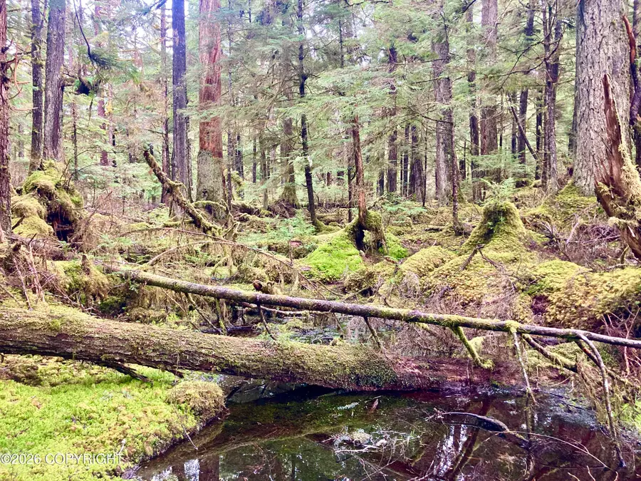 L9B18 South Thorne Bay, Thorne Bay, AK 99919 - #3