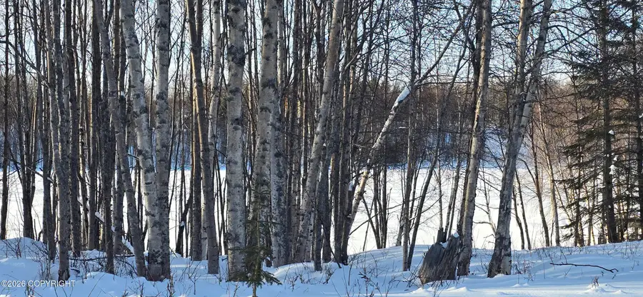 L39 B1 Eagle Avenue, Nikiski, AK 99635 - #2