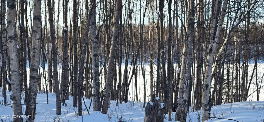 L39 B1 Eagle Avenue, Nikiski, AK 99635 - #3