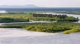 LP9, B2 Nushagak River, Dillingham, AK 99576 - #1