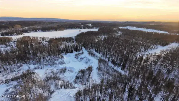 24831 W Schwagers Circle, Willow, AK 99688