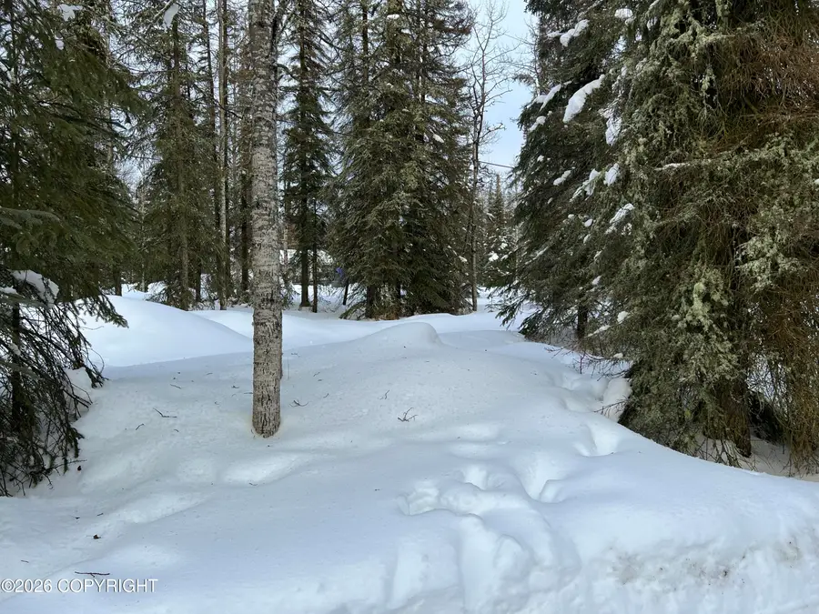 1009 Colonial Drive, Kenai, AK 99611 - #3