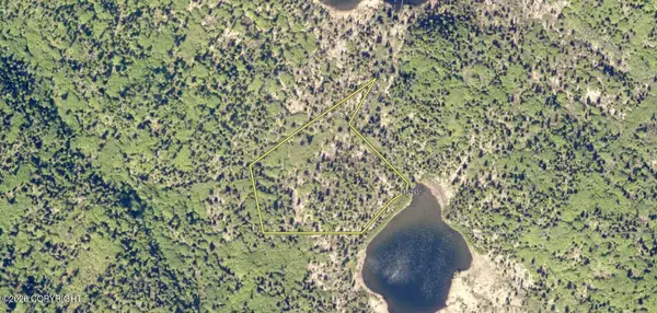 L11 Two Lakes Trail, Homer, AK 99603