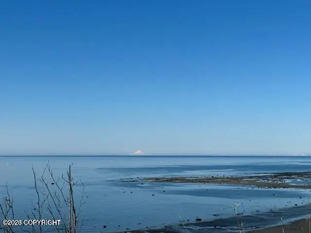 1429 Sterling Highway, Homer, AK 99603 - #2