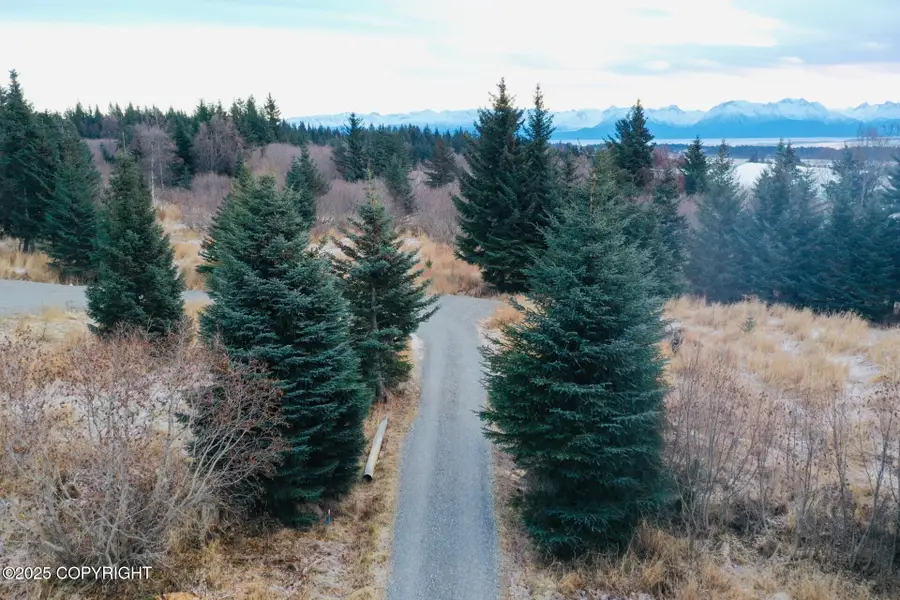 3720 Forest Glen Drive, Homer, AK 99603 - Image #2